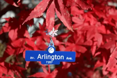 Arlington Street Sign