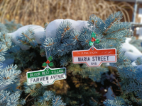 Green and Junction Ornament