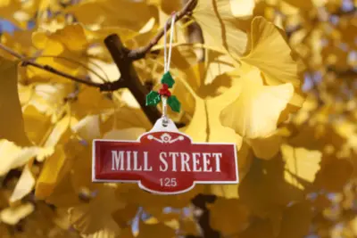 Mill Street