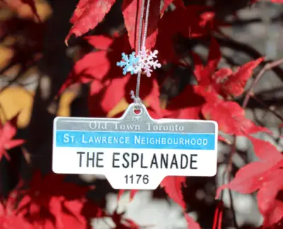 The Esplanade