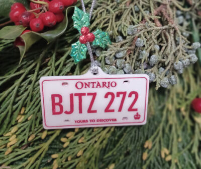 License Plate Ornament - BJTZ 272